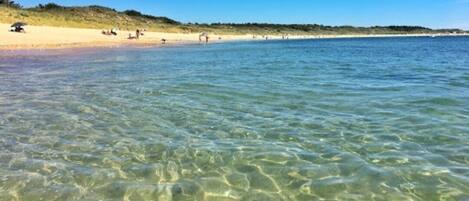 Plage à proximité
