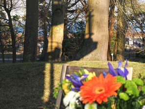 المنطقة المحيطة بالمنشأة