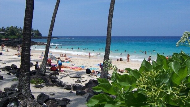 A beach with palm trees, clear blue water, and people sunbathing.