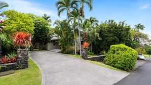 A residential driveway with a stone wall, palm trees, and a well-maintained lawn.