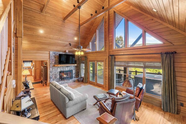 Smart TV, fireplace, books