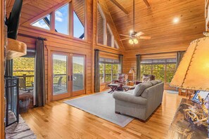 Smart TV, fireplace, books