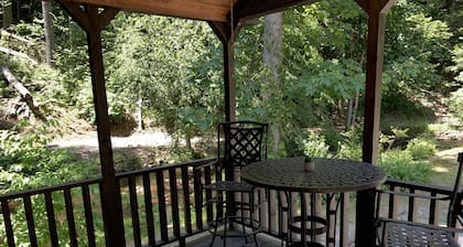 Tiny home only 1 mile from Vogel State Park! The Gray Loft Reece Farm Village