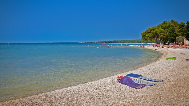 A pebbled beach with clear blue water, a row of beach umbrellas, and a line of trees in the background. - Nina in Peroj  - Haus für 6 Personen (Fazana)
