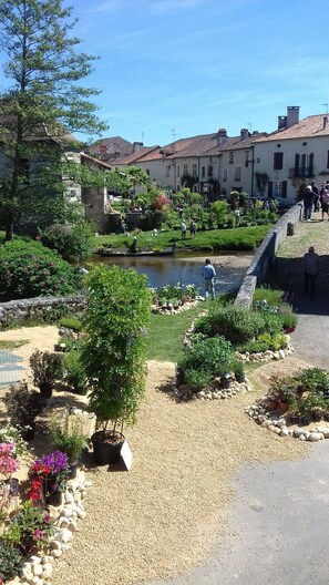 Property grounds - Peaceful location a short walk To One Of Frances Most Beautiful Villages (Saint Jean de Cole)