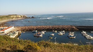 A coastal marina with boats docked, a rocky breakwater, and buildings with red roofs.
