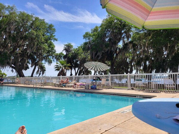 Outdoor pool - Best view cottage at Salt Springs Resort (Fort McCoy)
