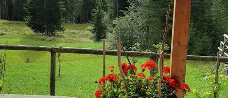 Enceinte de lâhĂ©bergement