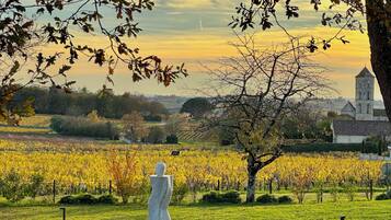 A statue in a park with a vineyard and a church in the background.