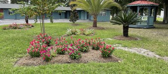 Carole Motel