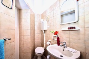 Shower, hair dryer, bidet, towels