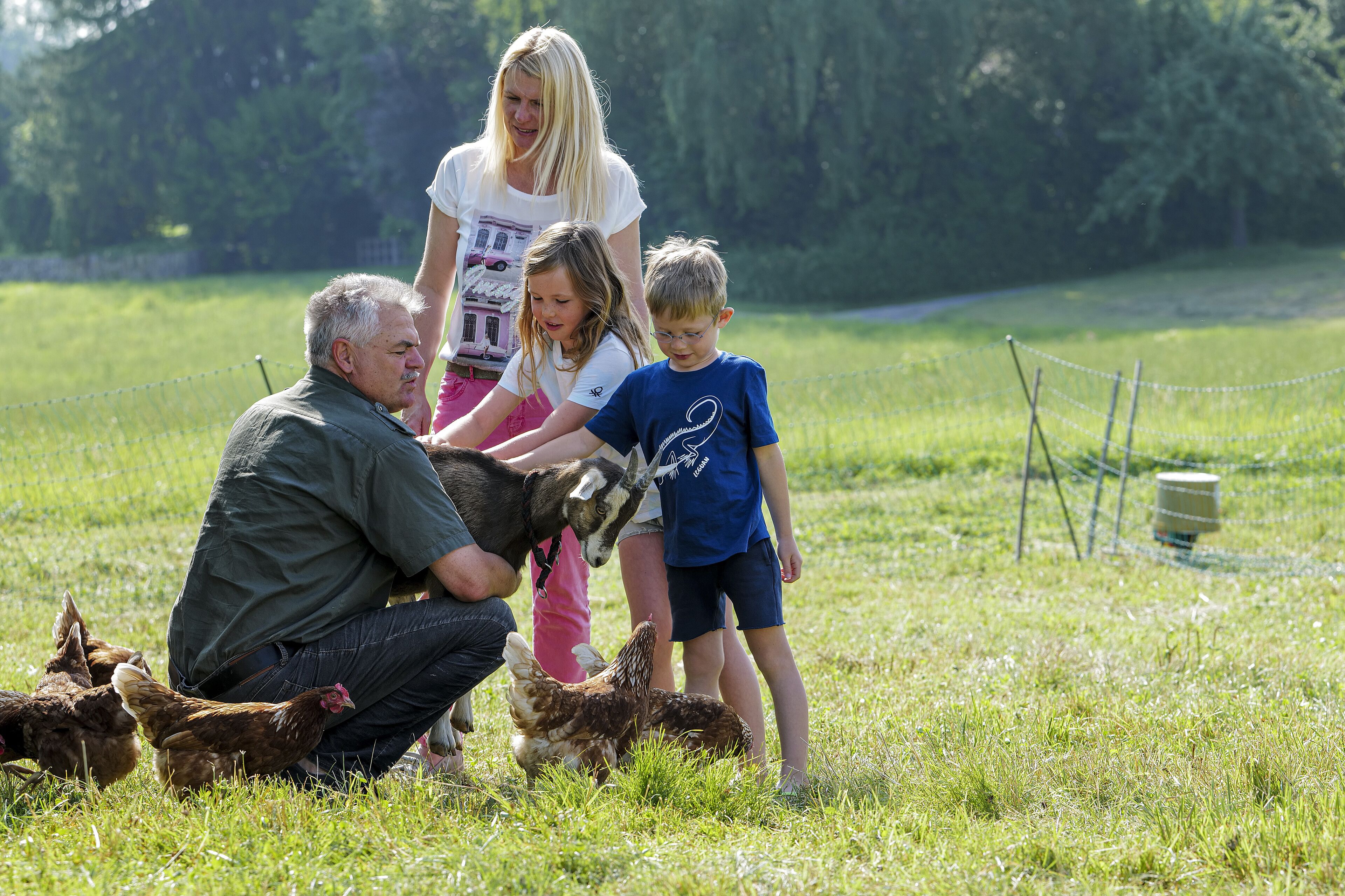 Een gezin dat met kippen speelt in een grasveld, met een hek en bomen op de achtergrond.