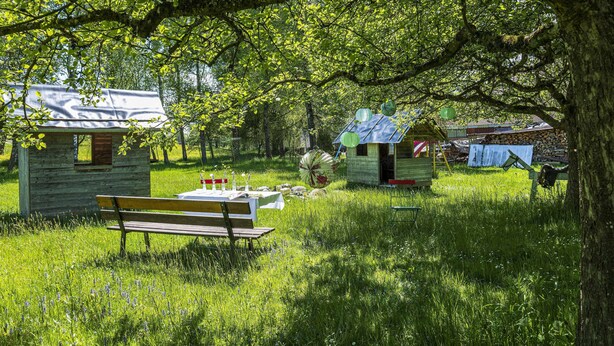 En rustik hytte med en træbænk og et picnicbord, omgivet af frodigt grønt og træer.