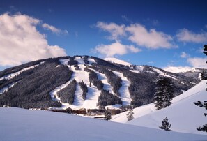 Experience the serene mountain lodge, surrounded by dense forests and a ski slope, offering a tranquil retreat.