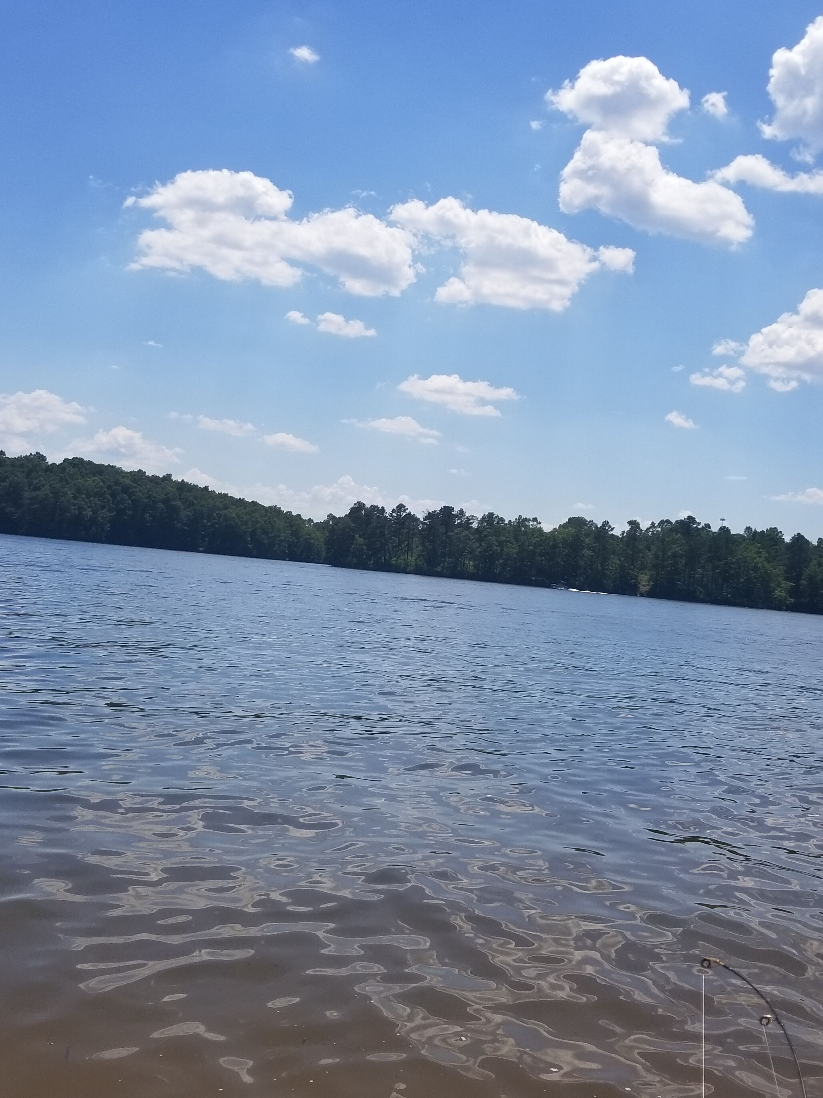 Un lac paisible, bordé d’une forêt, sous un ciel dégagé.