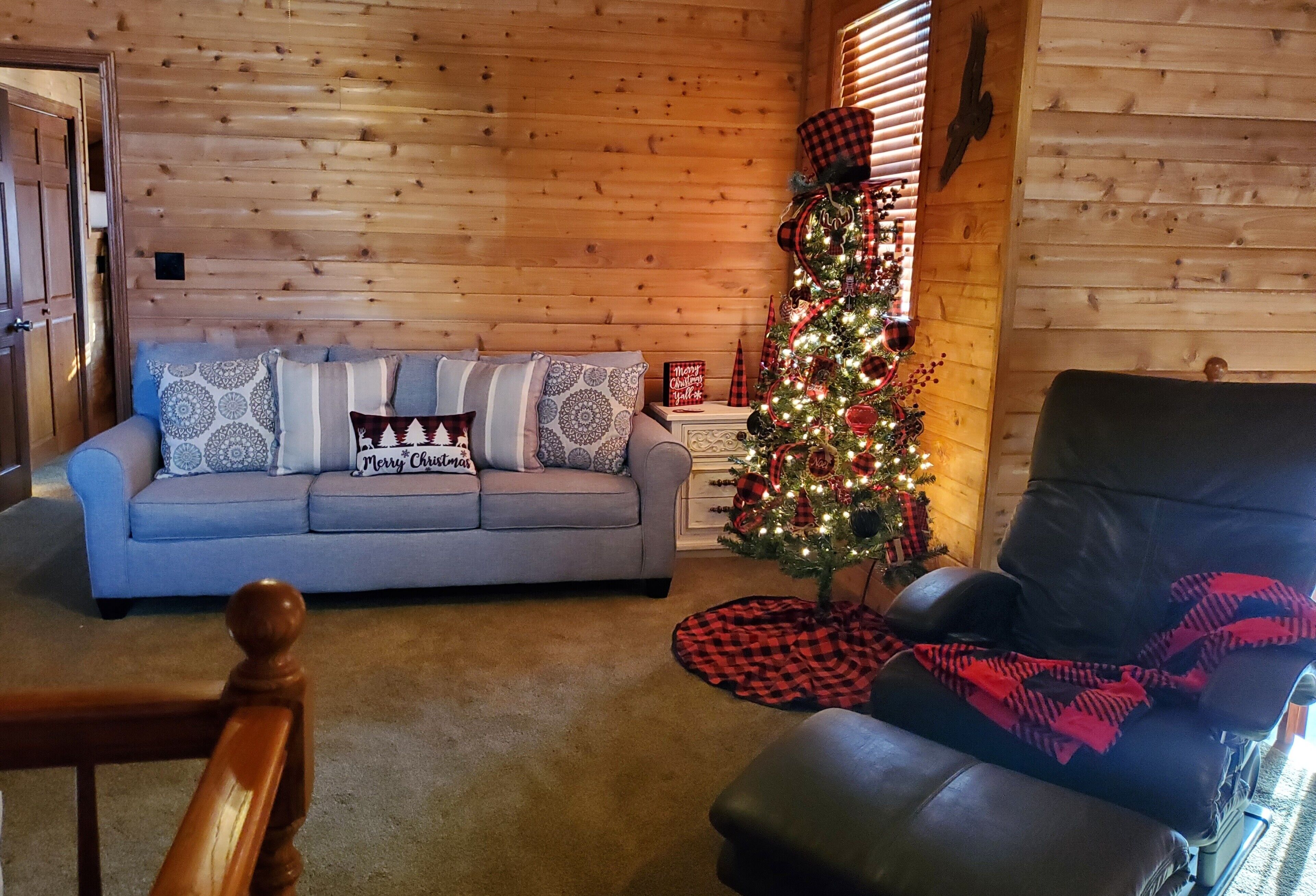 Smart-tv, dvd-afspiller, bøger