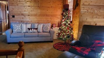 Smart TV, DVD player, books