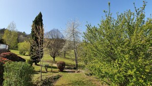 Un jardí amb arbres diversos, una paret de pedra i un camí.