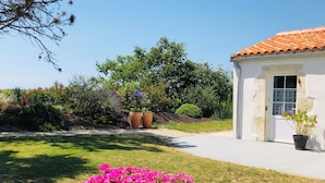 Une maison avec un toit en tuiles, une allée pavée et un jardin agrémenté de plantes et de fleurs en pot.