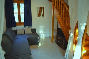 Smart TV, fireplace, books