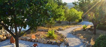 Peace, Privacy and Natural Beauty on Skopelos Island