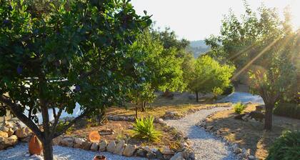 Peace, Privacy and Natural Beauty on Skopelos Island