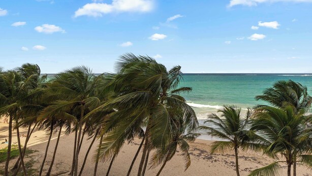 A beach with palm trees and the ocean. - Beachfront by Otium | Pool | Direct Beach Access (San Juan)