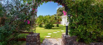 Villa Mula a stone's throw from the sea