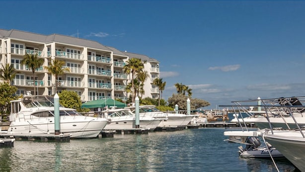 Un port de plaisance où sont amarrés plusieurs bateaux, un hôtel à plusieurs étages doté de balcons et des palmiers.