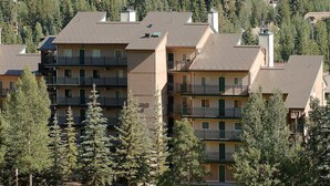 Un immeuble résidentiel à plusieurs étages, doté de balcons et entouré d’arbres.