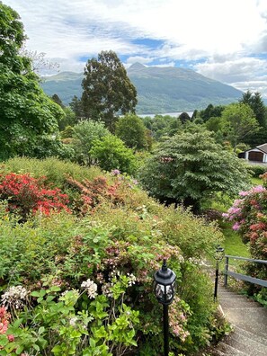 En have med forskellige planter og blomster, en sti og et bjerg i baggrunden.