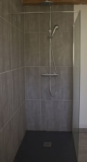Shower, towels, soap, toilet paper