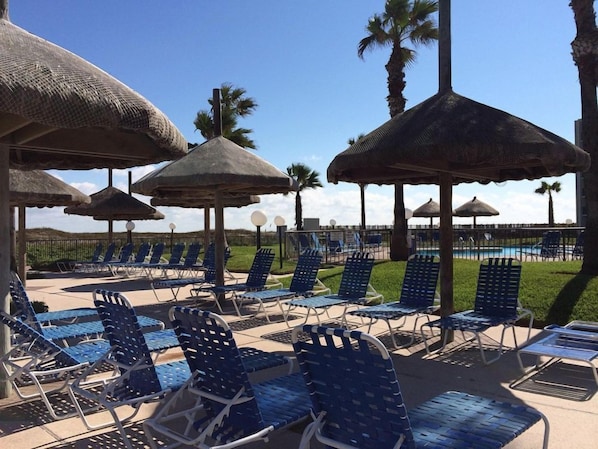 A poolside area with blue lounge chairs and thatched umbrellas, surrounded by palm trees.