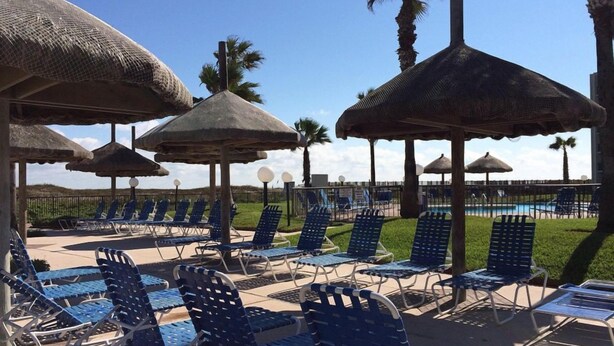 A poolside area with blue lounge chairs and thatched umbrellas, surrounded by palm trees.