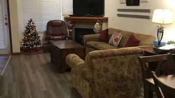 TV connectée, cheminée, Netflix, lecteur de DVD