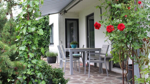 Un patio con una mesa y sillas, rodeado de follaje y una planta en maceta.