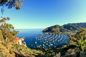 A coastal town with a marina filled with boats, surrounded by hills and greenery.