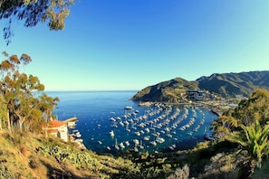 A coastal town with a marina filled with boats, surrounded by hills and greenery.