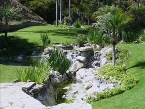 Een aangelegde tuin met een waterpartij, gazon en palmbomen.