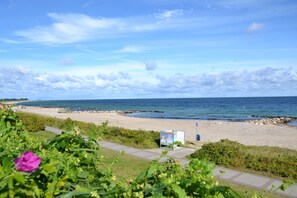 Sulla spiaggia, lettini da mare