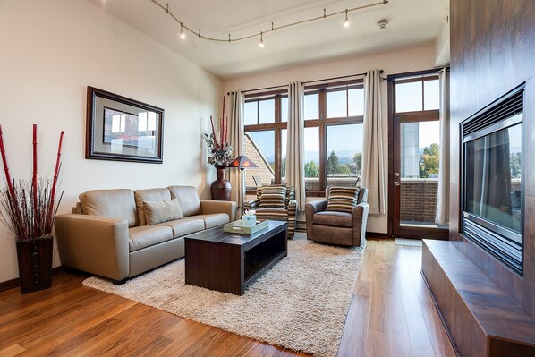 TV, fireplace, DVD player