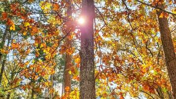 3 bedrooms, travel crib, WiFi, bed sheets