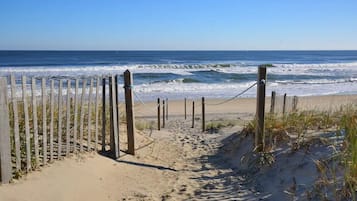 Una spiaggia nelle vicinanze