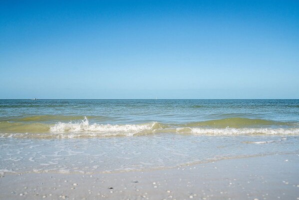 Condo, 1 Bedroom, Ocean View | Beach