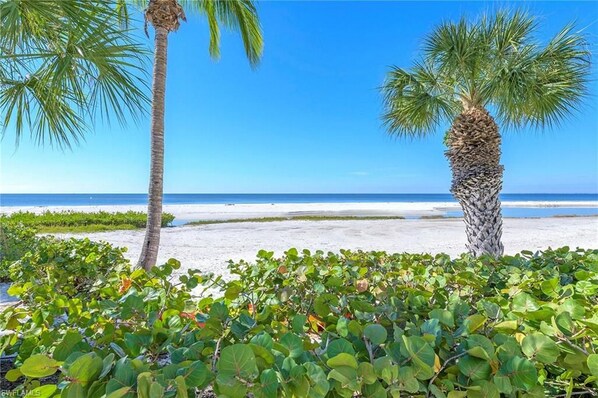 Condo, 2 Bedrooms | Beach | On the beach, white sand