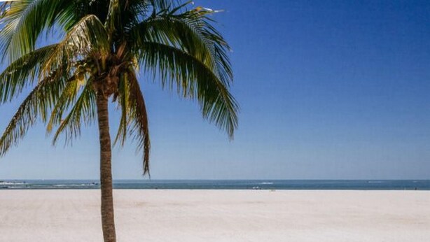 View from room - Castle Beach # 101 by Coastal Vacation Properties (Fort Myers Beach)
