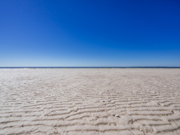 Condo, 2 Bedrooms | Beach | On the beach, white sand