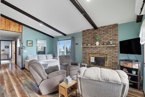 TV, fireplace, video library