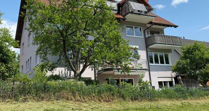 Baiersbronn, Black Forest, Schwarzwald, view, 2 rooms, sun, balcony, quietness