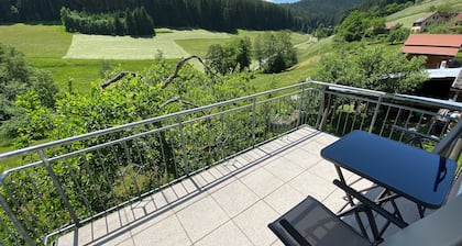 BAIERSBRONN direkt, Schwarzwald, Aussicht, 2 Zi., Sonne, Balkon, Ruhe